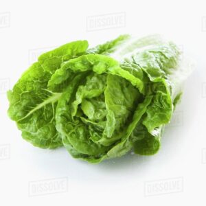 Lettuce